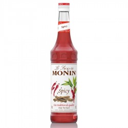 Sirop Monin Spicy 70 cl