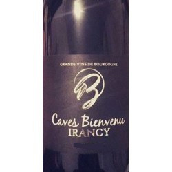 Irancy Rouge Cave Bienvenu 150cl magnum