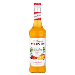 Sirop Monin Mangue Epicée 70 cl