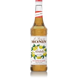 Sirop Monin Mirabelle 70 cl